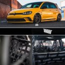 Clubsport Set - Strebe mit Netz für Golf 7 inkl. GTI
